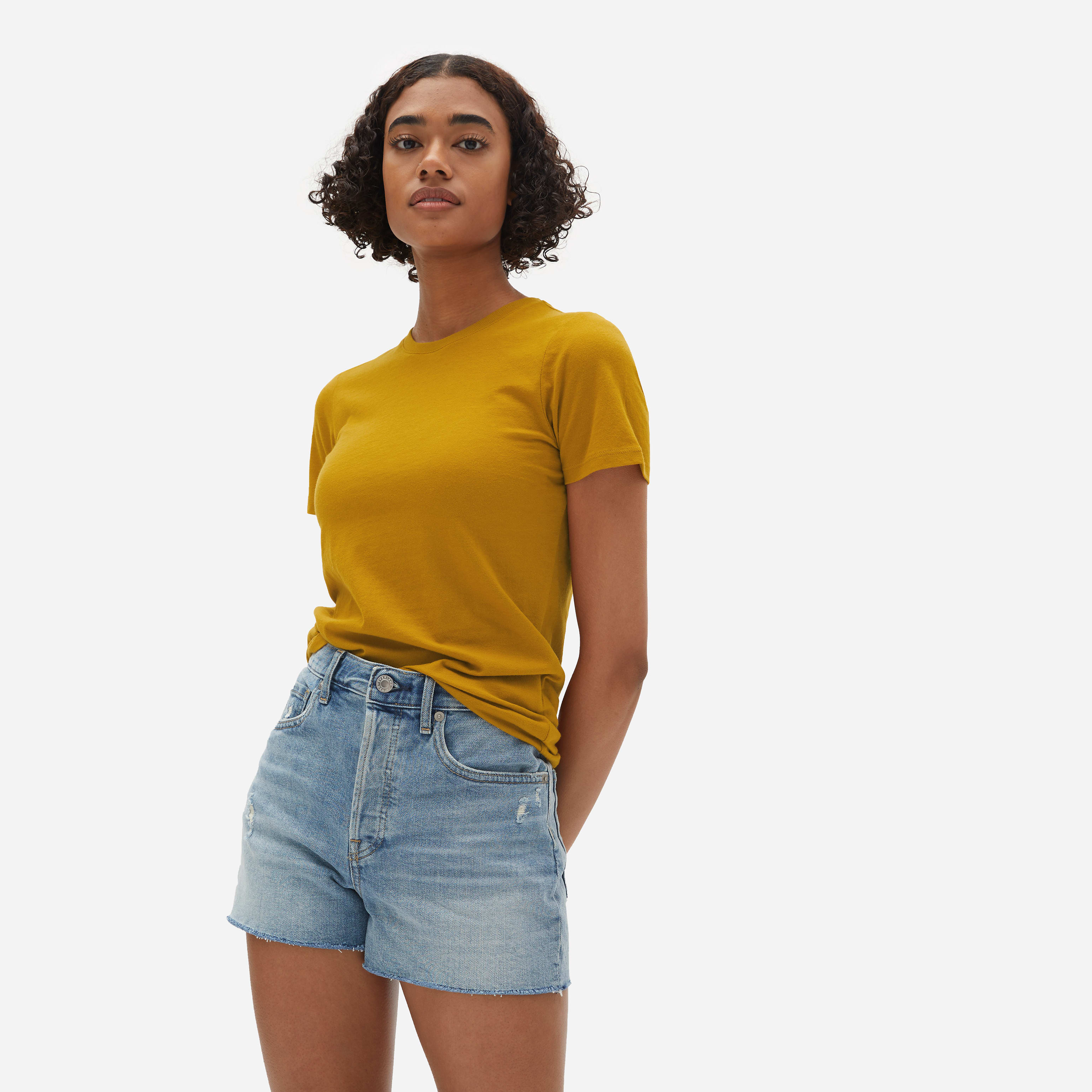 The Cotton Crew | Everlane