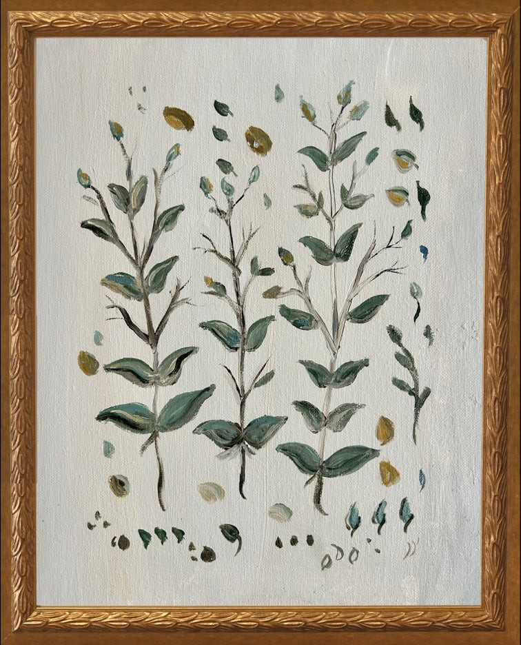 Botanical Studies - Boxwood | JSH Home Essentials