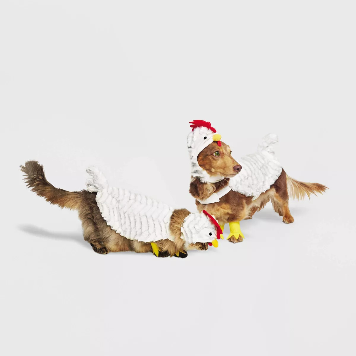 Chicken Full Body Halloween Dog and Cat Costume - Boots & Barkley™ | Target