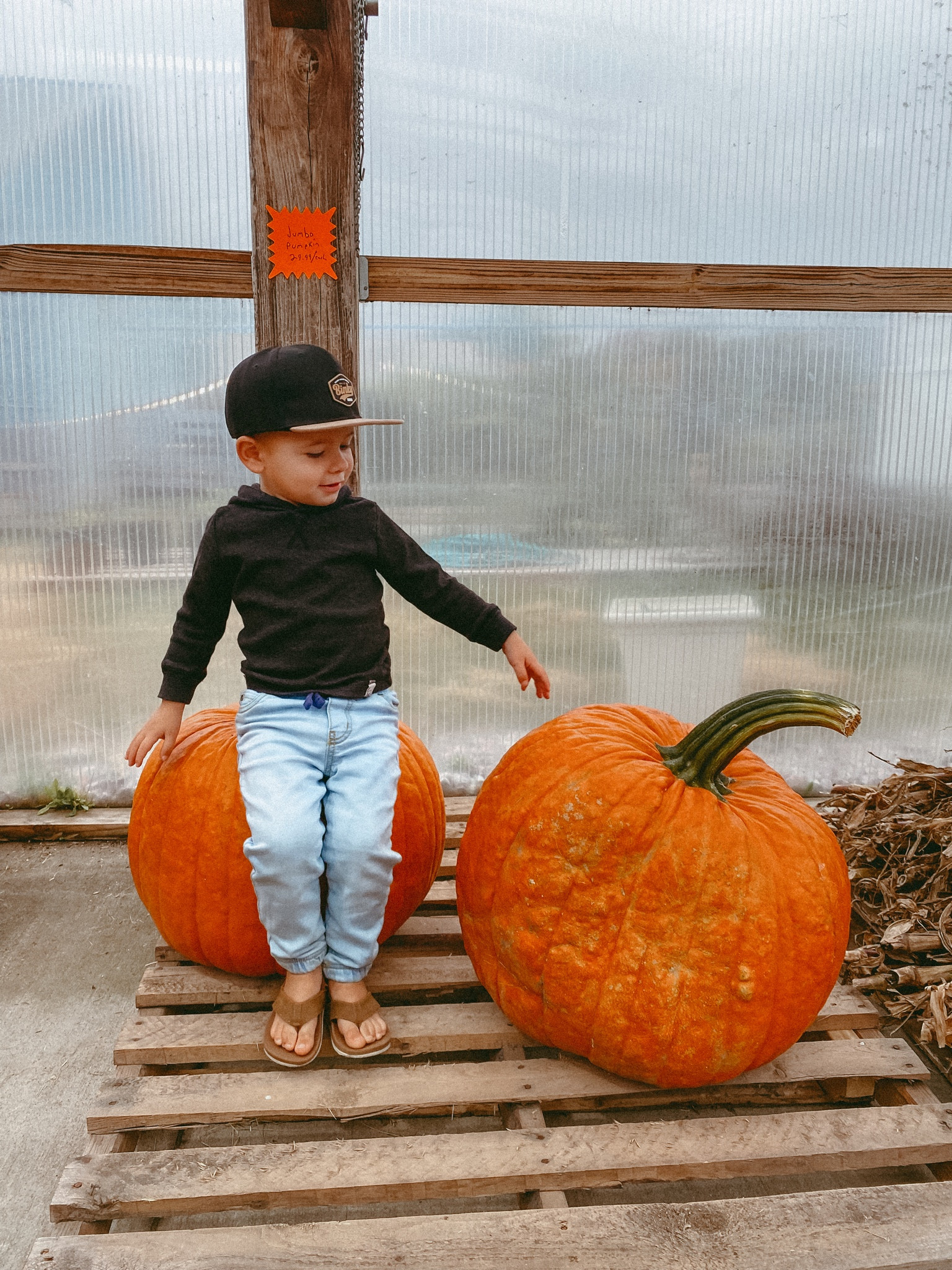 Hey pumpkin 🎃 
#fallfinds #kidsstyle #toddlerstyle #fallstyle #kohls #walmart #seasonalfinds #sale #ltkfamily #ltkfindsunder50 #boystyle #boyfashion #dailyfit #ootd #ltkkids #ltkmom #babystyle #giftideas#seasonal #ltkbaby #womensclothes #holiday

#LTKkids #LTKfamily #LTKfindsunder50