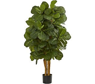 4' Fiddle Leaf Fig Tree in Black Planter by Nea rly Natural | QVC