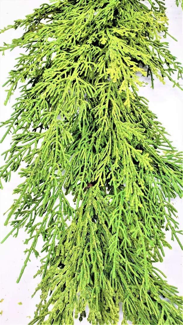 Evron International G841 Artificial Green Faux Cedar Garland Christmas Decor 5' Length. Looks Rea... | Amazon (US)