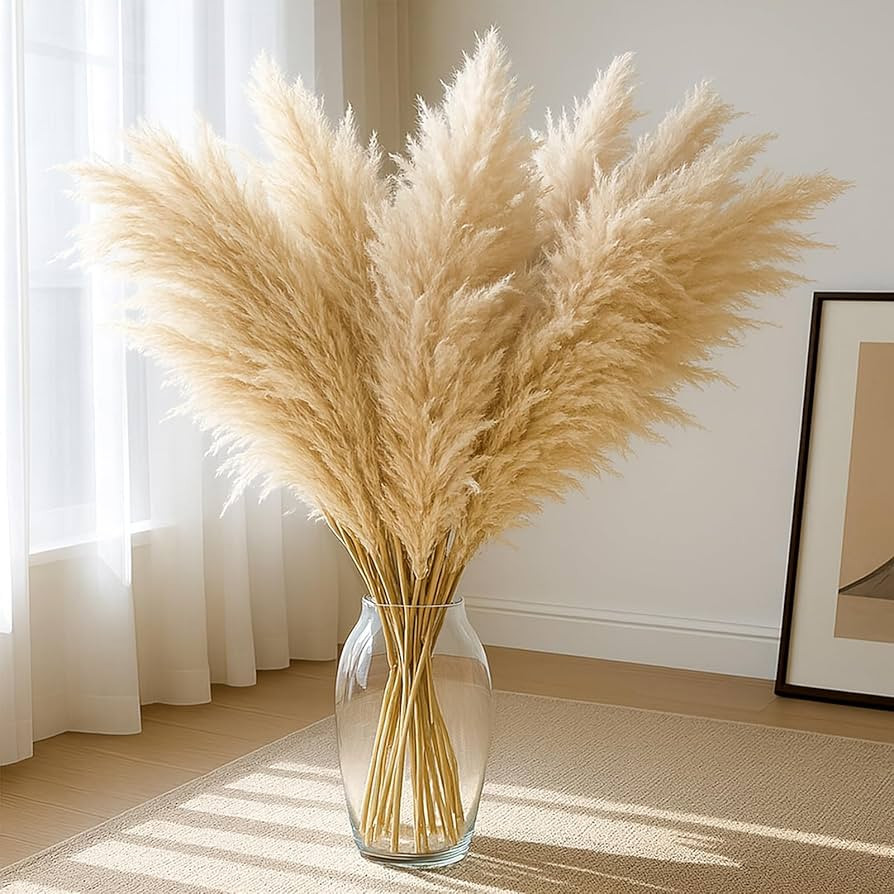 JOHOUSE 16PCS 40'' Dried Pampas Grass Home Decor - Fluffy Real Tall Pampas Grass for Floor Vase B... | Amazon (US)