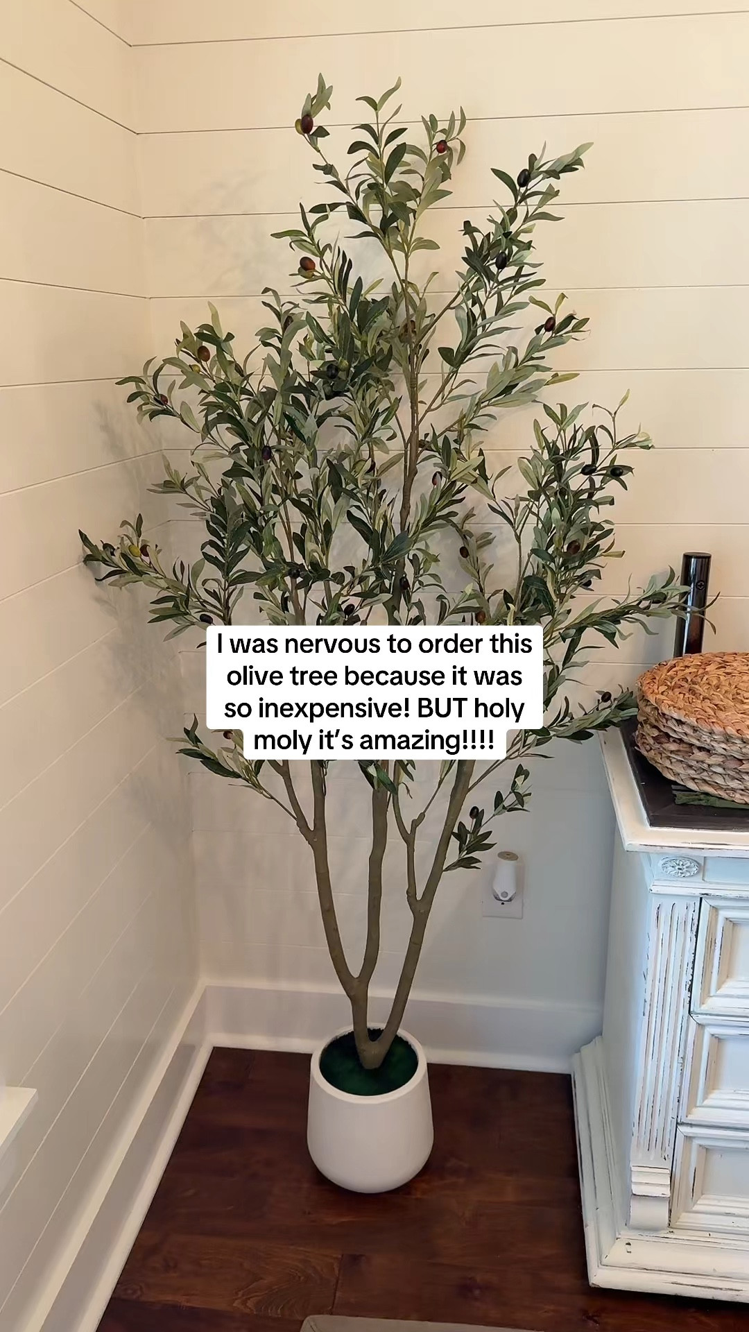 This olive tree is so affordable, comes with the pot, and is gorgeous!!!

#LTKHome