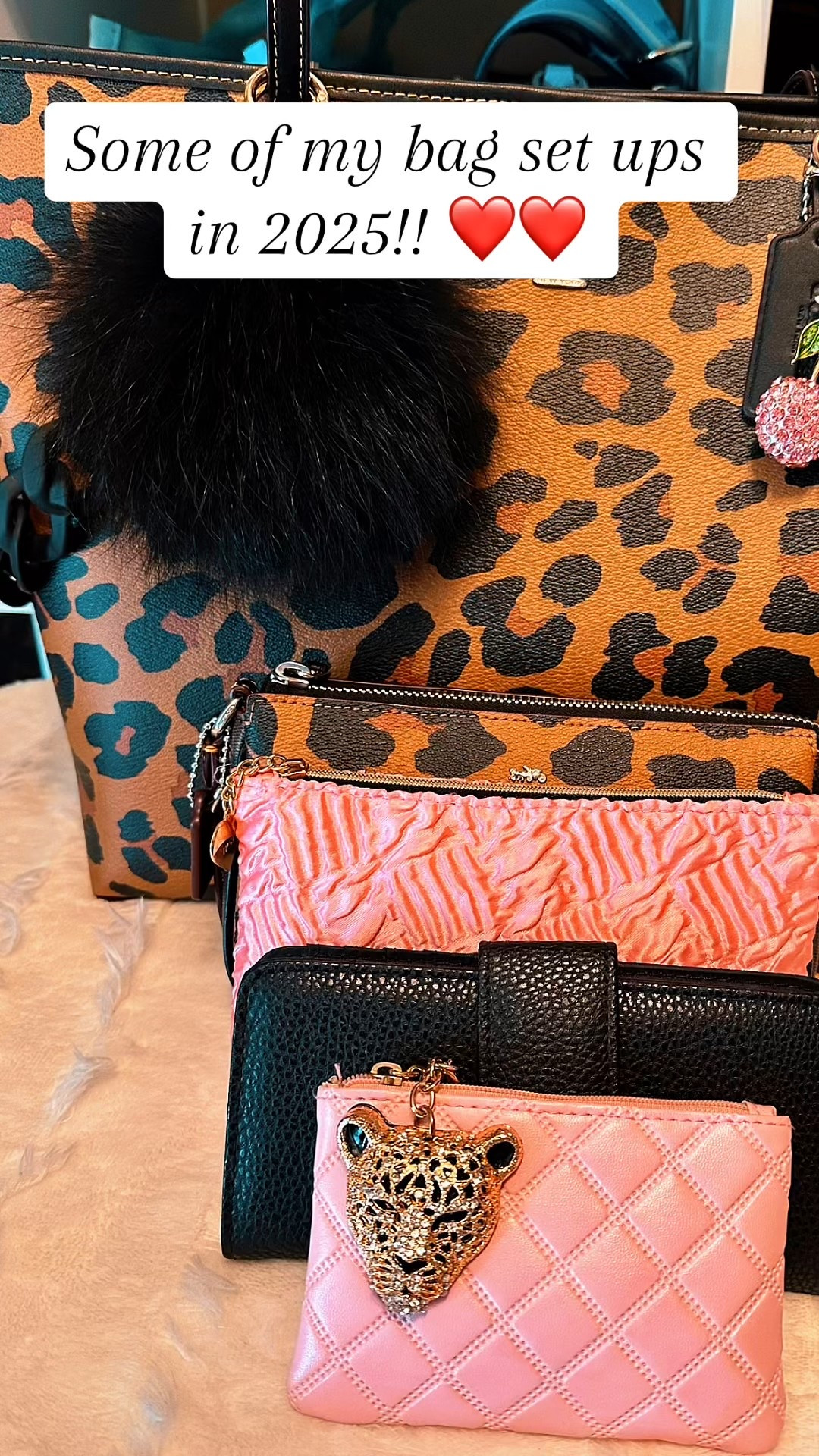 Bag Inspo I have used in 2025! Check links for available bags! ❤️

#LTKItBag #LTKStyleTip