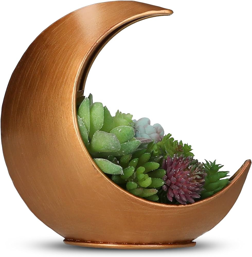 Table Planter - Desk Moon Planter – Boho Planters for Indoor Plants, Succulents, Air Plant, Cac... | Amazon (US)