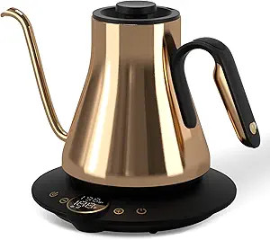 Cocinare Barista Collection Gooseneck Electric Kettle, ±1℉ Precise Temperature Control for Pou... | Amazon (US)