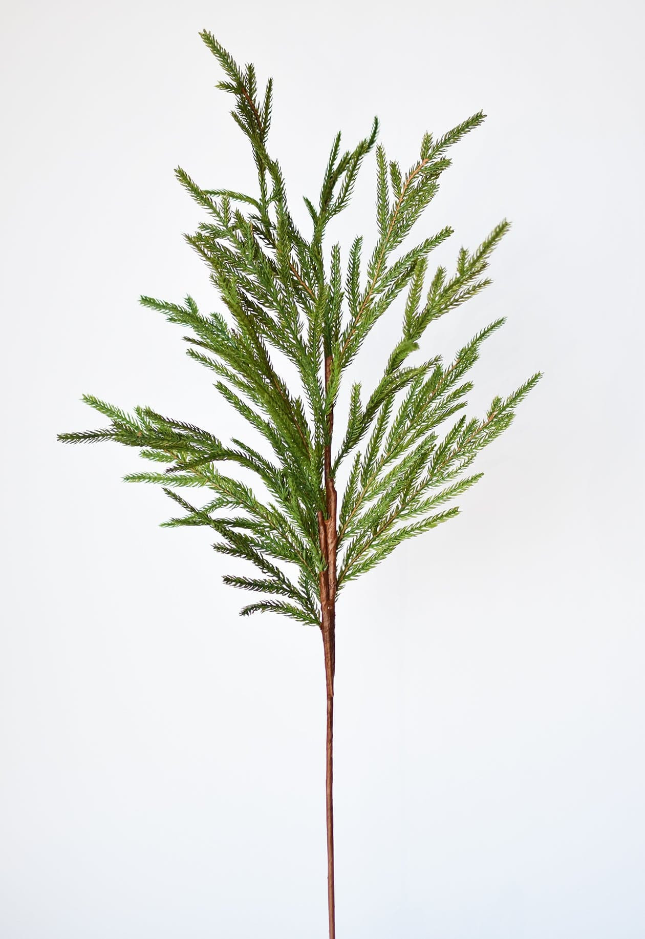 36" Faux Green Norfolk Pine - Cypress Spray Stem | HouseFloral