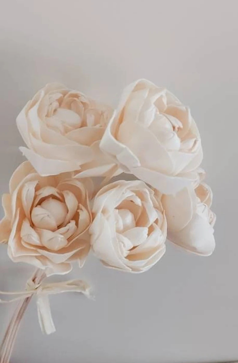 White Cream Peony Sola Flowers Peonies Everlasting Stems - Etsy Australia | Etsy (AU)