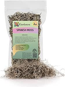 Premium Natural Spanish Moss | Natural Preserved - Great Ground Cover - Filler for Potted Plants ... | Amazon (US)