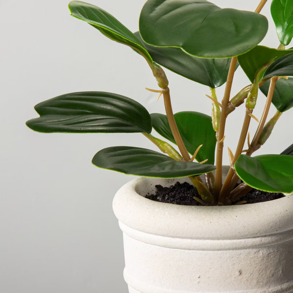 8" Mini Faux Hoya Heart Plant - Hearth & Hand™ with Magnolia | Target