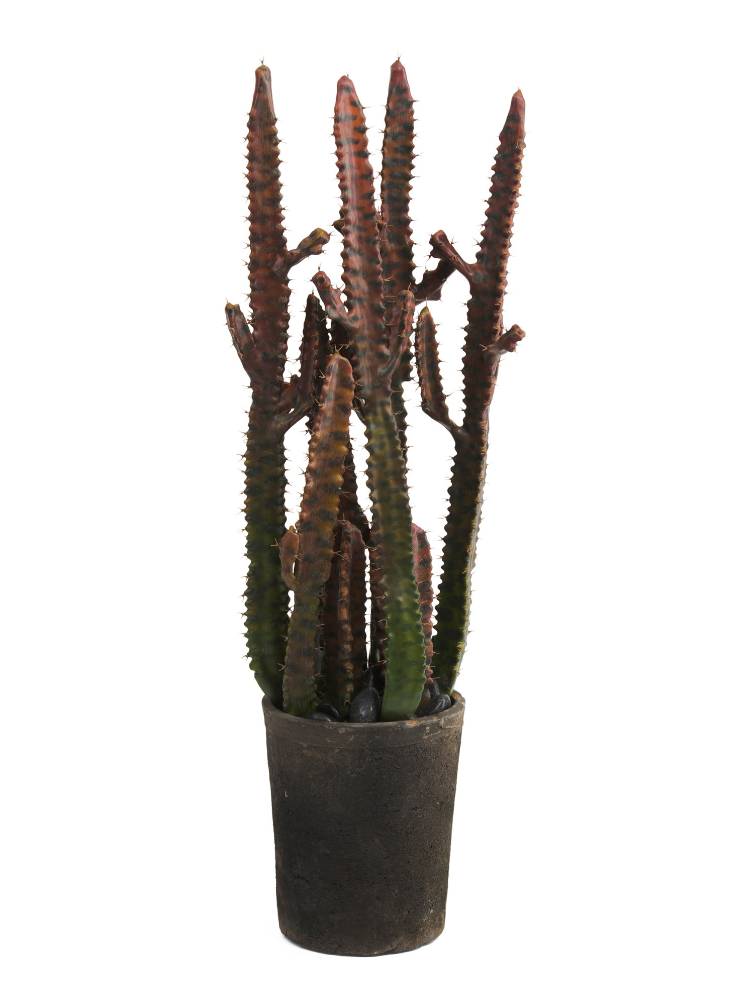 27in Faux Spurge Spotted Cactus | TJ Maxx