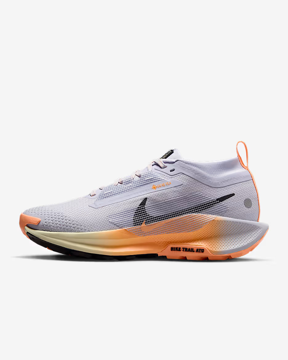 Nike Pegasus Trail 5 GORE-TEX | Nike (UK)