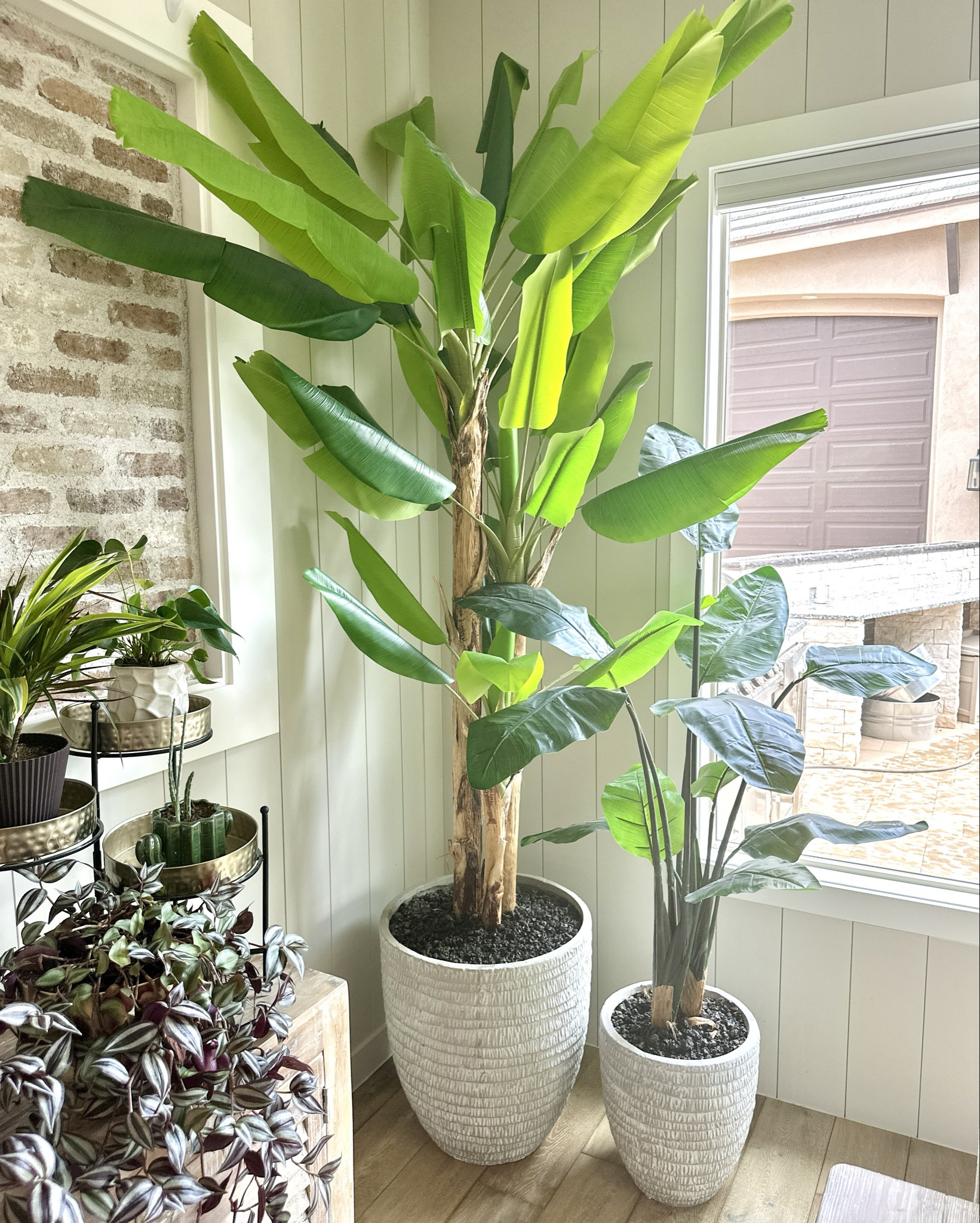 I always get tons of compliments on this banana tree. The best part? It’s fake!! It’s 8.5 ft tall and under $200. It’s the perfect way to liven up a boring corner. 

#LTKVideo #LTKHome