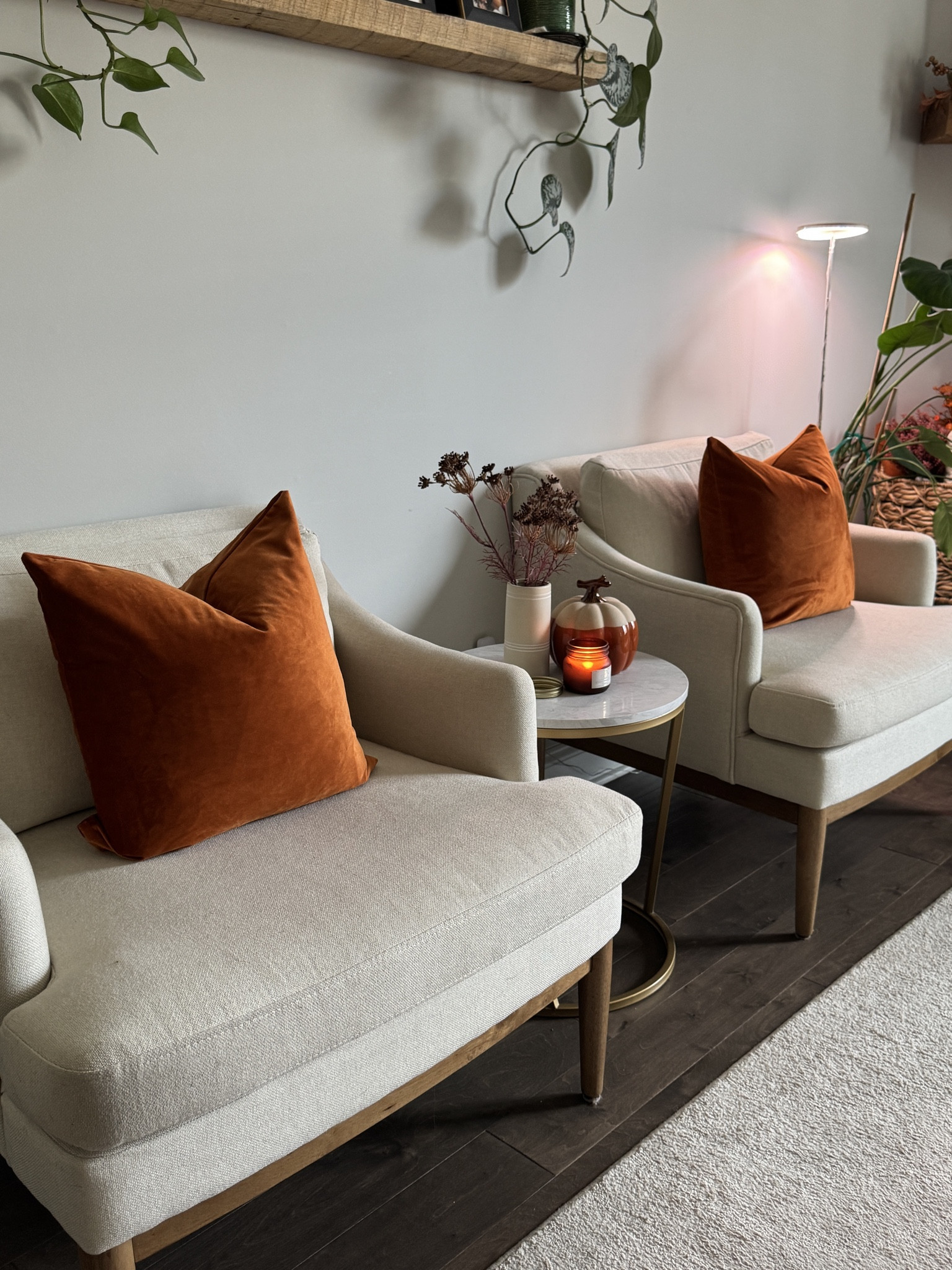 Fall views in the living room 🤎🍂🍁

#LTKFindsUnder100 #LTKHome #LTKStyleTip