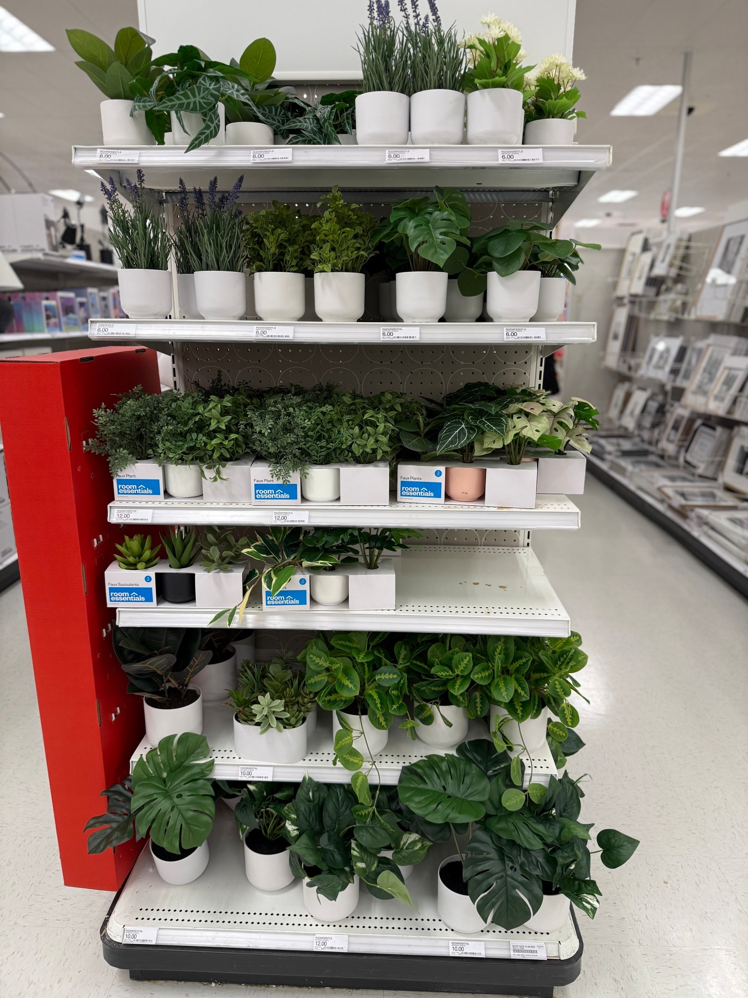 Small faux plants!

#LTKHome #LTKSeasonal