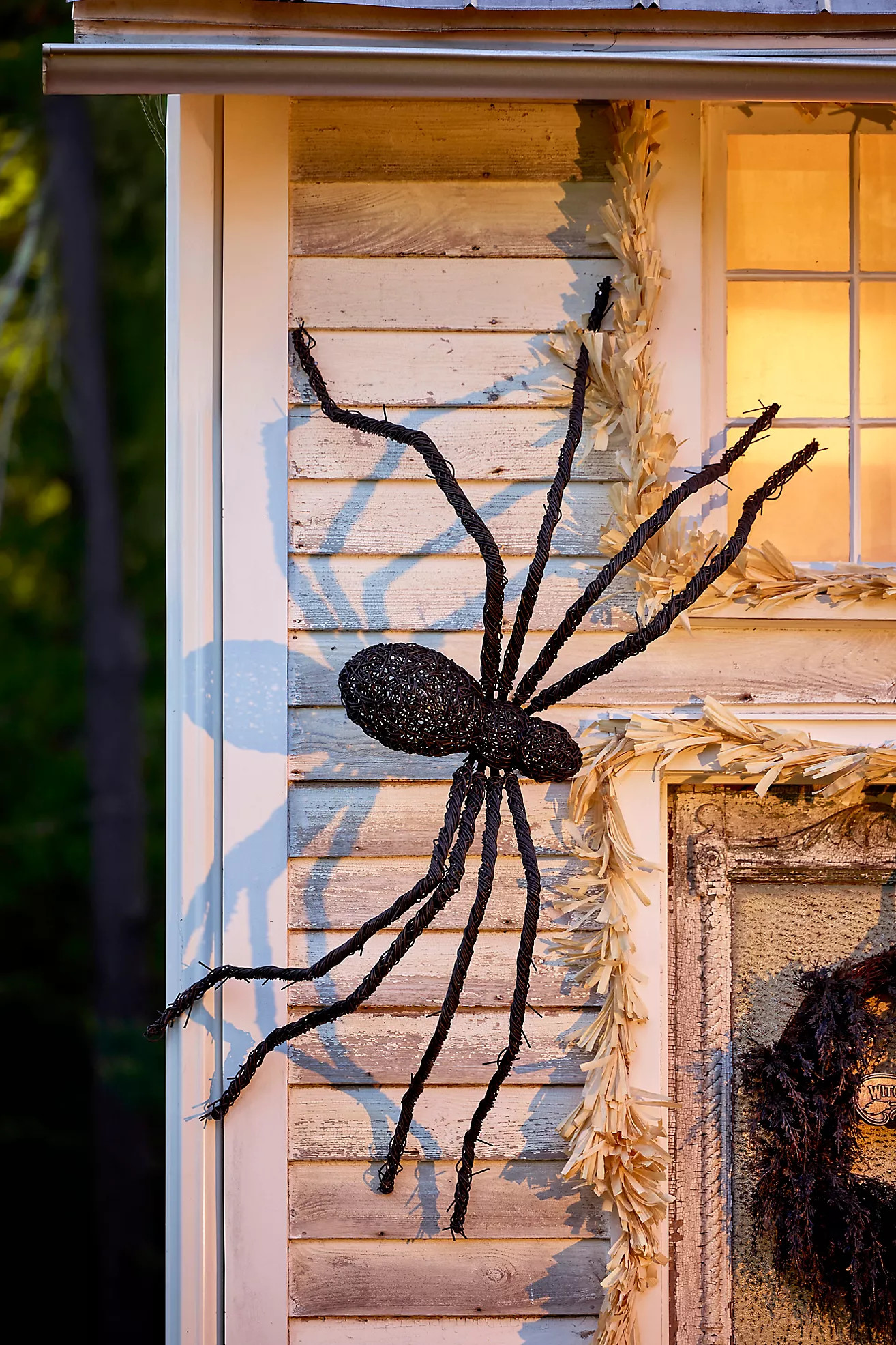 Giant Rattan Vine Spider | Terrain