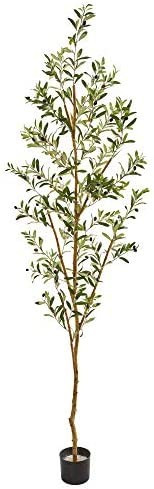 Nearly Natural 82” Olive Artificial Silk Trees Green | Amazon (US)
