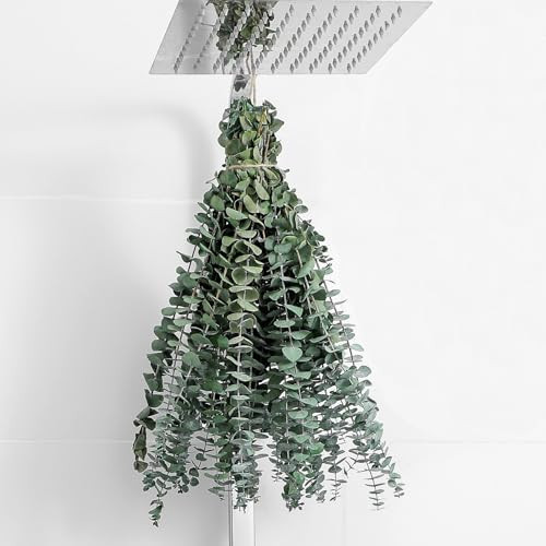 10 Pcs Dried Eucalyptus Stems 17" Real Eucalyptus for Shower Hanging 100% Made from Fresh Leaves, Wedding, Home, Farmhouse, DIY Spring Decor Bathroom Decor Home Decor | Amazon (US)