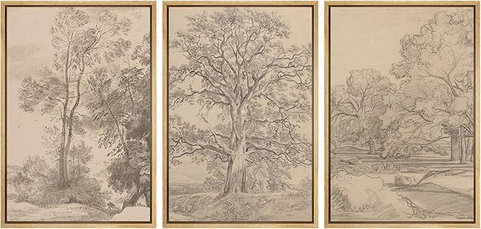 Ashbrook Framed Canvas Print Wall Art Set Retro Vintage Sketchbook Forest Country Landscape Farmh... | Amazon (US)