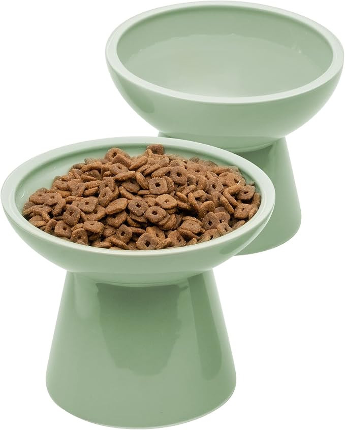 2 Elevated Ceramic Cat Bowls Extra Wide for Food & Water – Whisker Fatigue Shallow Food Dish, L... | Amazon (US)