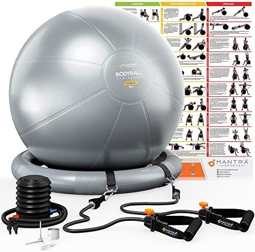Exercise Ball Chair, Yoga Ball Chair With Resistance Bands, Stability Base & Poster. Balance Ball Ch | Amazon (US)