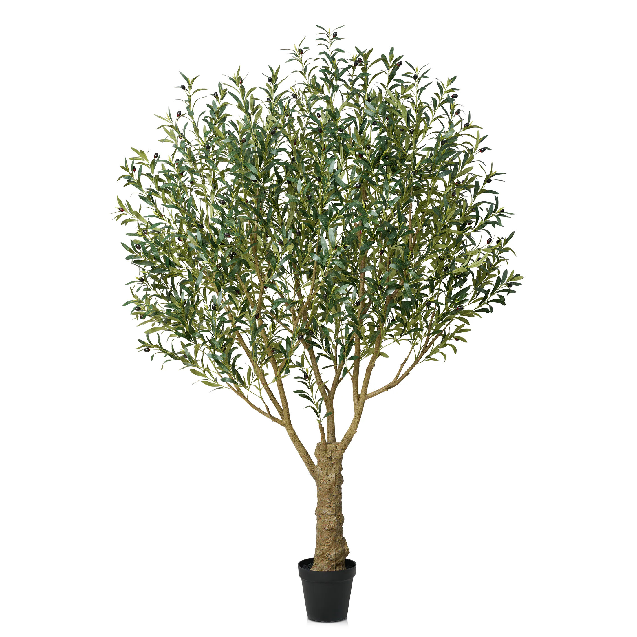 DR.Planzen 94.5-in green Indoor/Outdoor Floor Olive Artificial Tree one_size | GJPLSZGLS-2.4M-1 | Lowe's