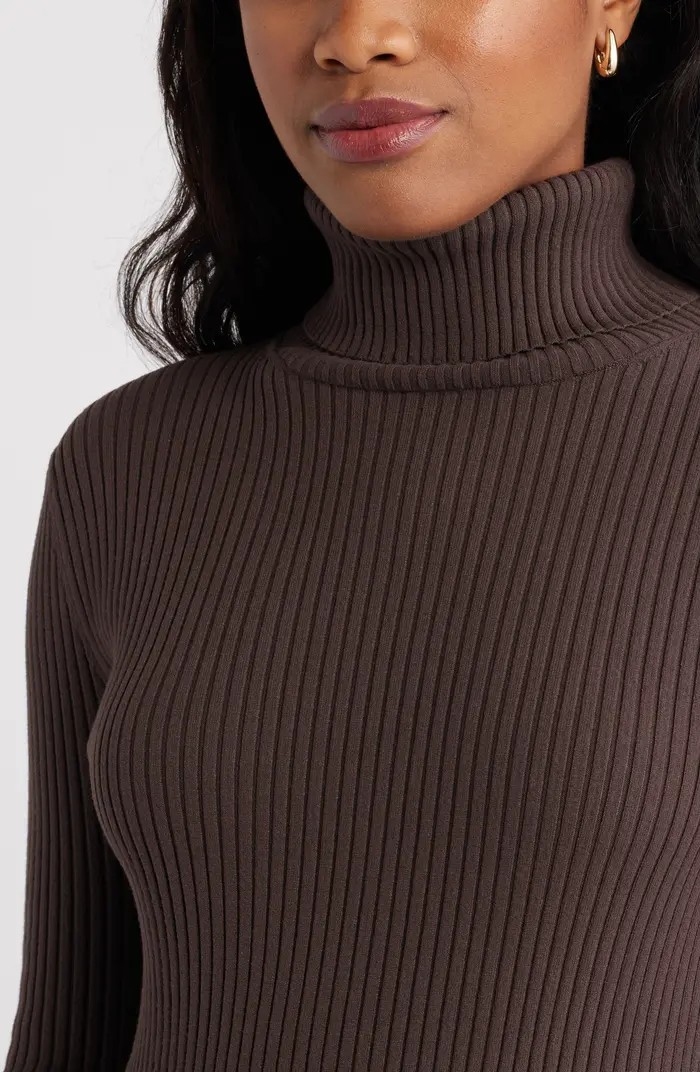 Rib Long Sleeve Turtleneck Sweater Dress | Nordstrom