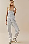 Ziggy Denim Overalls | Free People (Global - UK&FR Excluded)