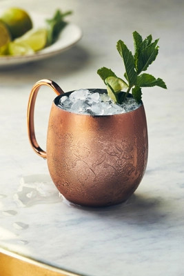 Foliage Copper-Plated Stainless Steel Mule Mug | Anthropologie (US)