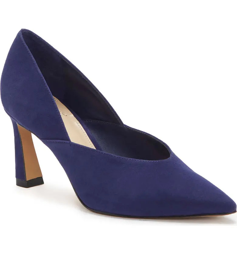 Vince Camuto Kastani Pointed Toe Pump | Nordstrom | Nordstrom