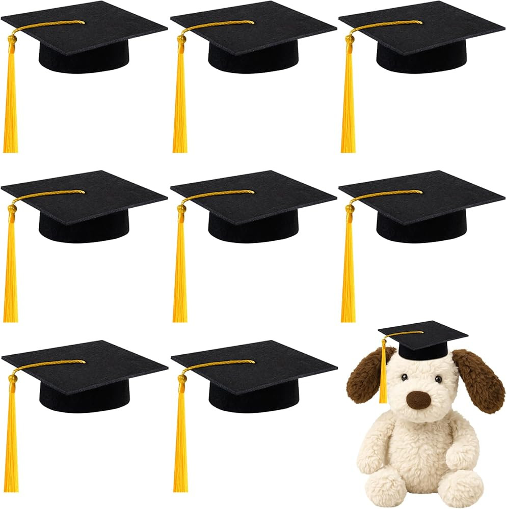 SVKN 9 Pcs Mini Graduation Cap with Tassel Mini Plush Mason Jar Small Animal Bachelor Hat Graduat... | Amazon (US)