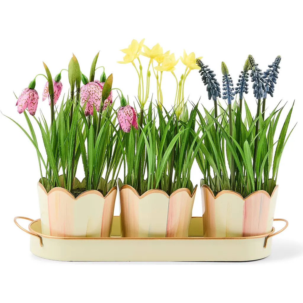 MACKENZIE CHILDS Rosy Check Stripe Triple Potted Blooms at Nordstrom | Nordstrom