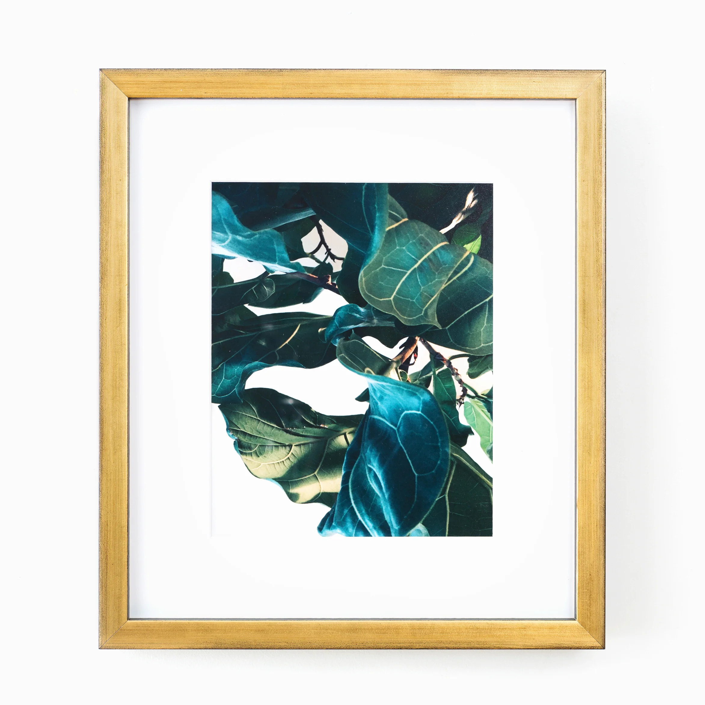 Olympia | Framebridge