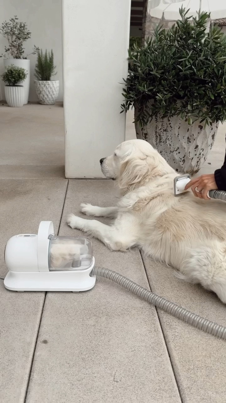 This pet vacuum is a must have!  If you have dogs this is game changer, it sucks all of the hair into the canister making it easy for cleaning too
StylinByAylin, Aylin, Amazon #pets #amazon

#LTKHoliday #LTKGiftGuide #LTKselfcare