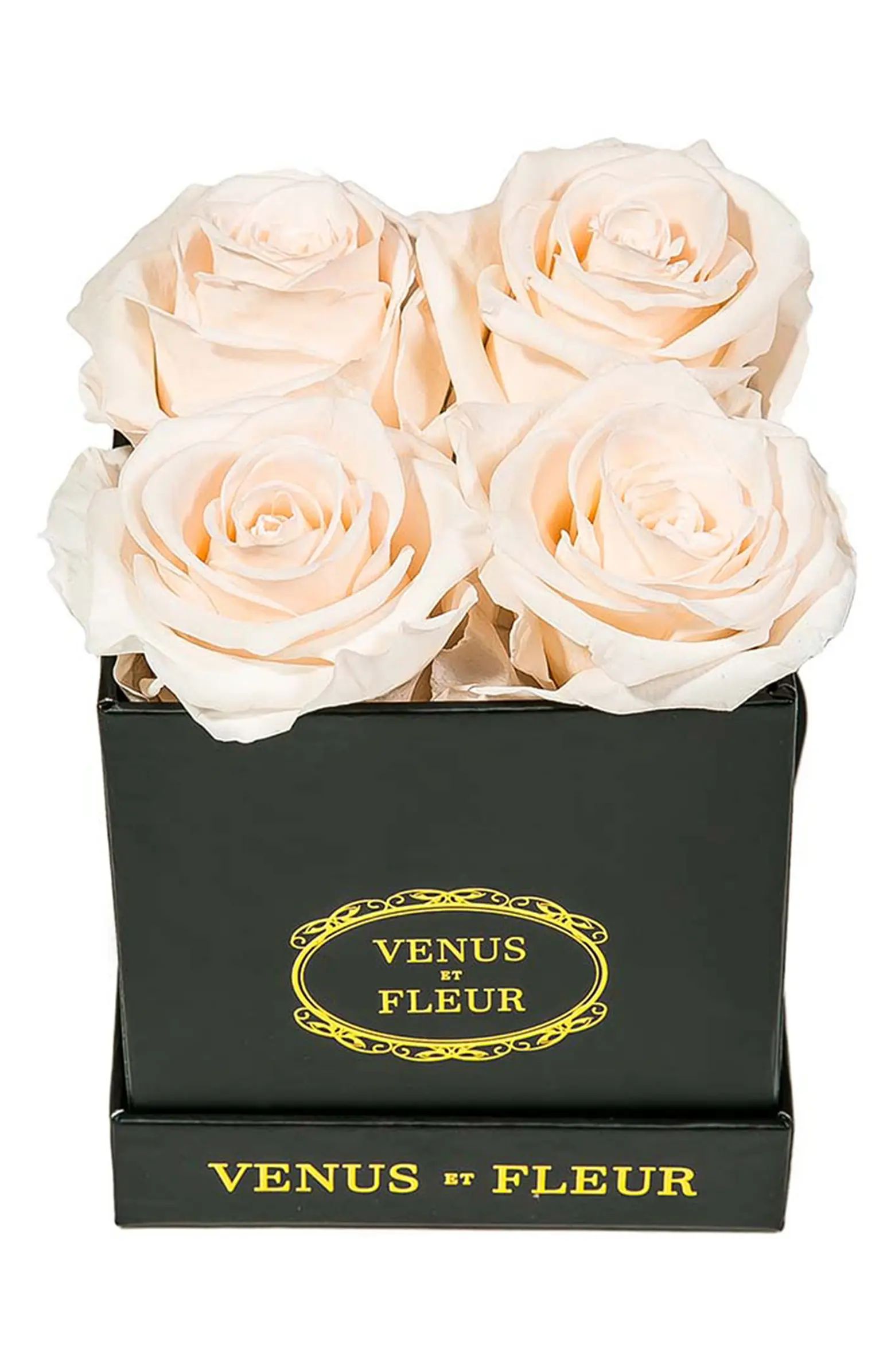 Venus ET Fleur Classic Le Petit Eternity Roses | Nordstrom | Nordstrom