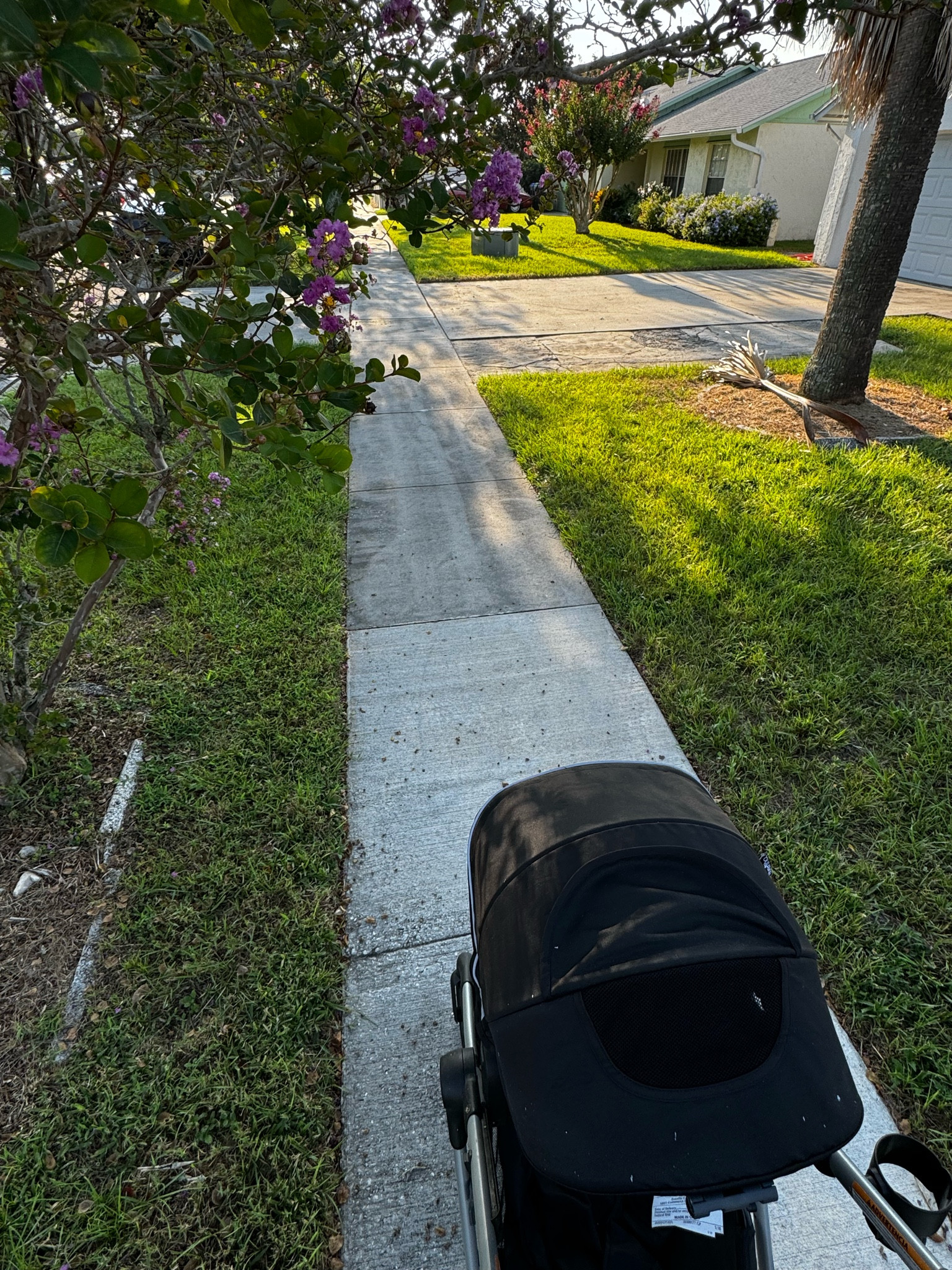 still use this guy after three years!

#LTKBump #LTKBaby #LTKFamily