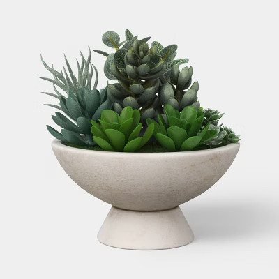 Succulent Bowl - Threshold™ | Target