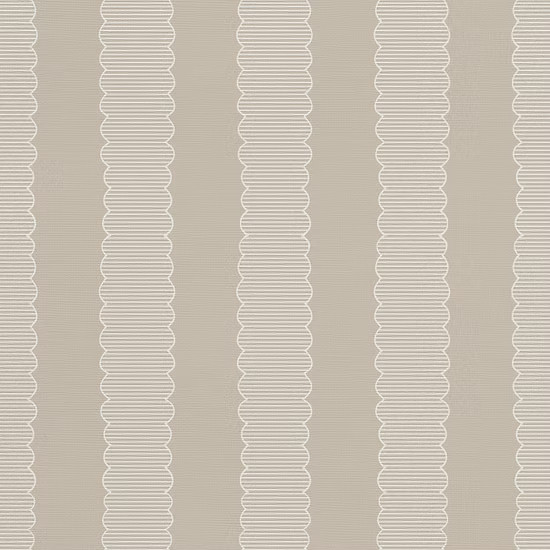 SCALLOPIA | Artza & co.