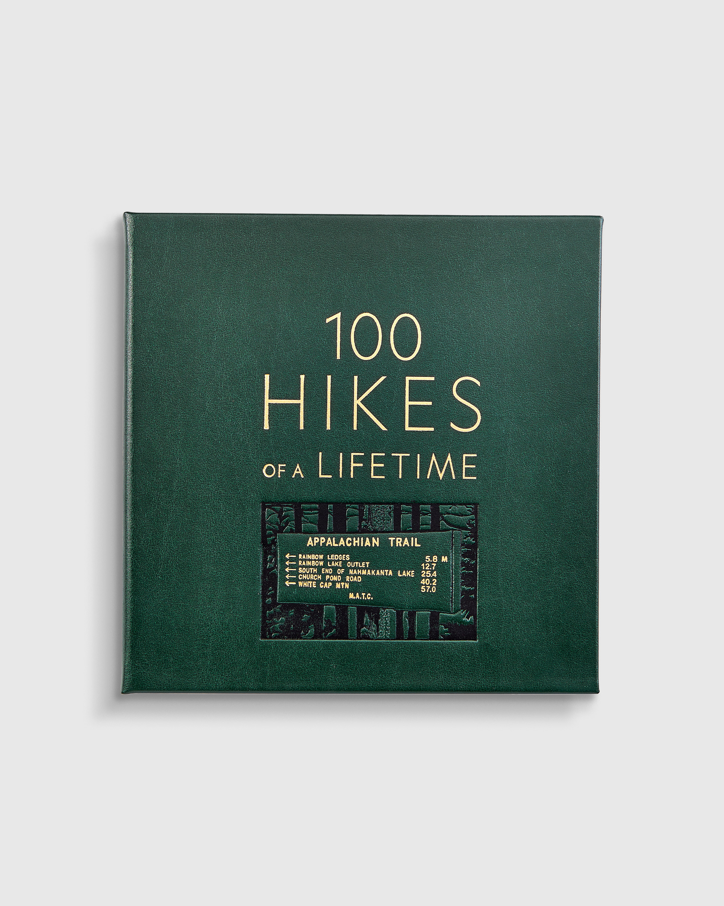 100 Hikes of a Lifetime Leather Bound Book in No Color | Quince
