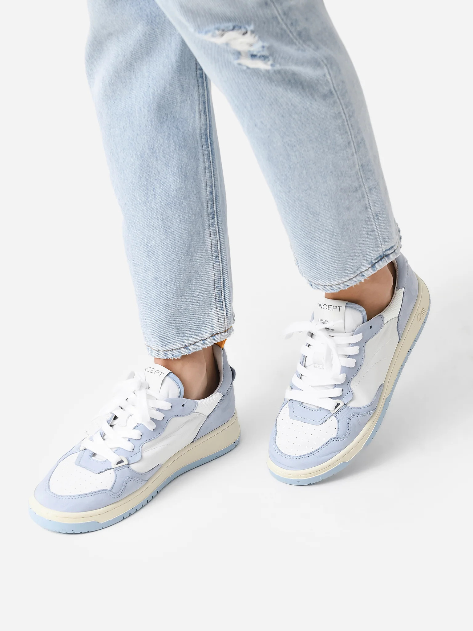 ONCEPT
                      
                     Women's Phoenix Sneaker | Saint Bernard