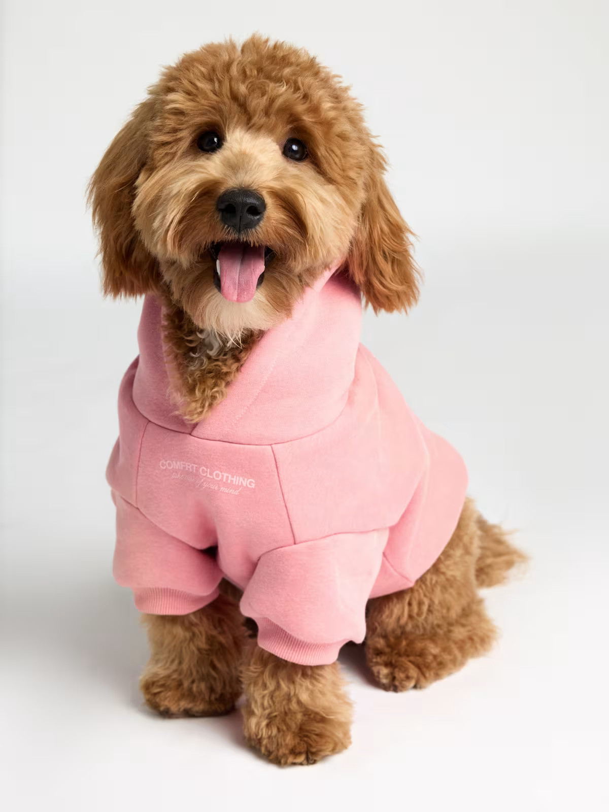 You Matter Paw Hoodie | Comfrt