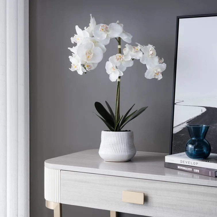 Orchid Floral Centerpiece in Pot | Wayfair North America
