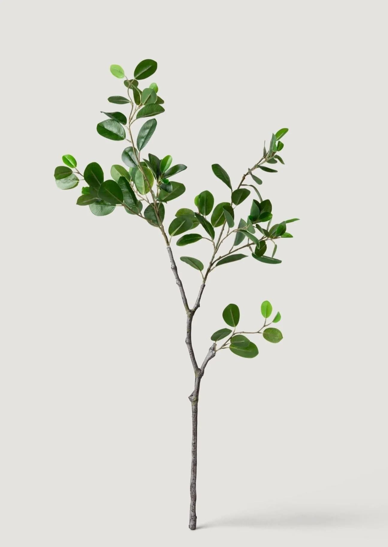 Fake Italian Ficus Branch - 38" | Afloral
