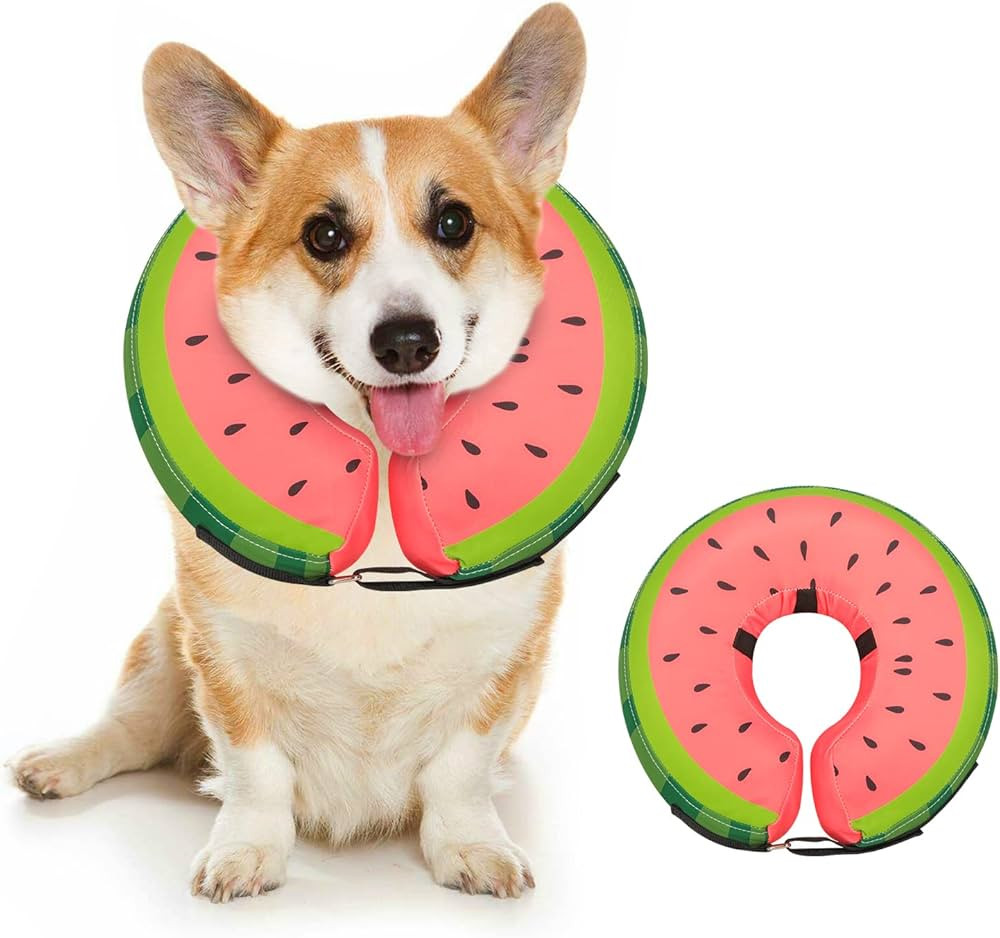Dog Cone Collar for Small Medium Large Dogs for After Surgery, Pet Inflatable Neck Donut Collar S... | Amazon (US)