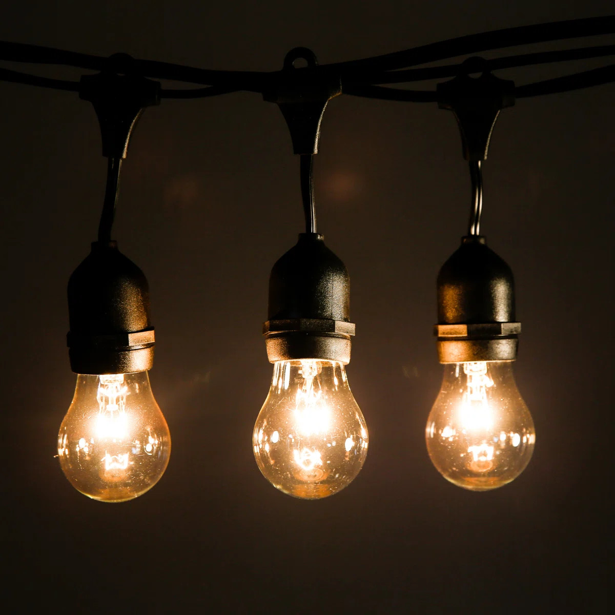 Aimee Outdoor 25 - Bulb 50'' Plug-in String Light | Wayfair North America