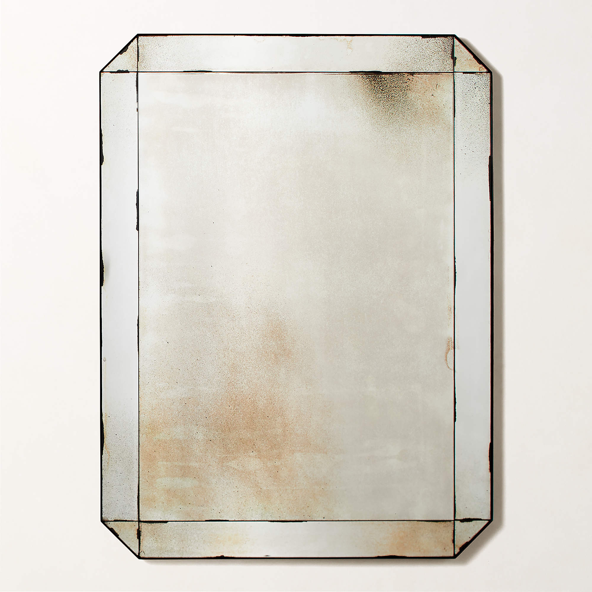 Sureau Antiqued Black Rectangular Wall Mirror 36''x48'' + Reviews | CB2 | CB2