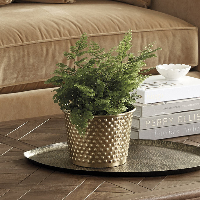 Bunny Williams Beaded Brass Cachepot | Ballard Designs | Ballard Designs, Inc.