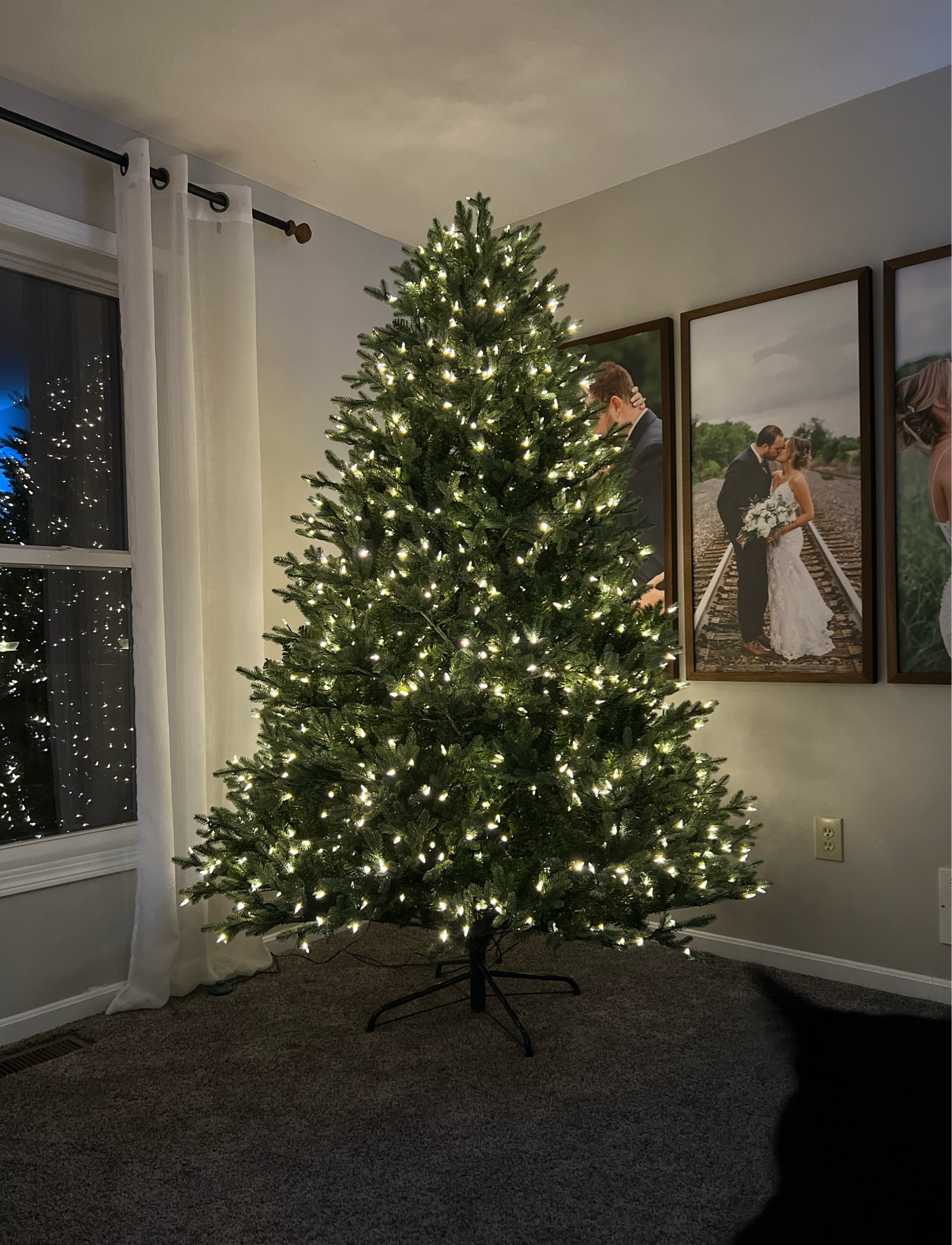 This years new tree! Pre lit, color changing. Zero fluffing required, and so full! Absolutely love it 🫶🏼

#LTKHolidaySale #LTKHoliday #LTKSeasonal