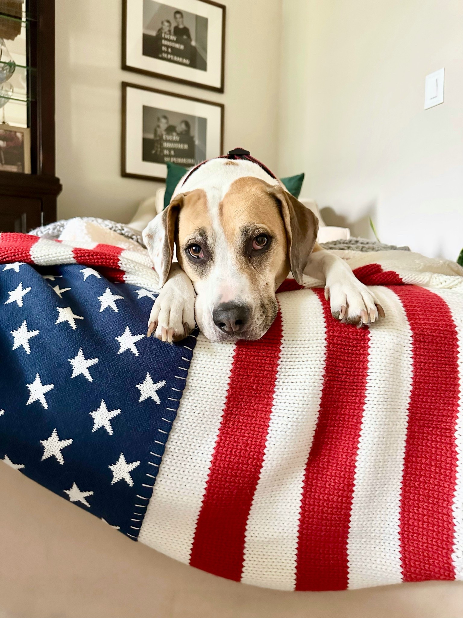 Celebrate America all summer!!
#4thofjuly

#LTKSaleAlert #LTKParties #LTKHome